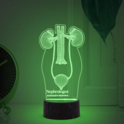 3D Illusion Kidney Led Lamp Nephrologist Kidney Light Multicolored Night Light with Remote Control